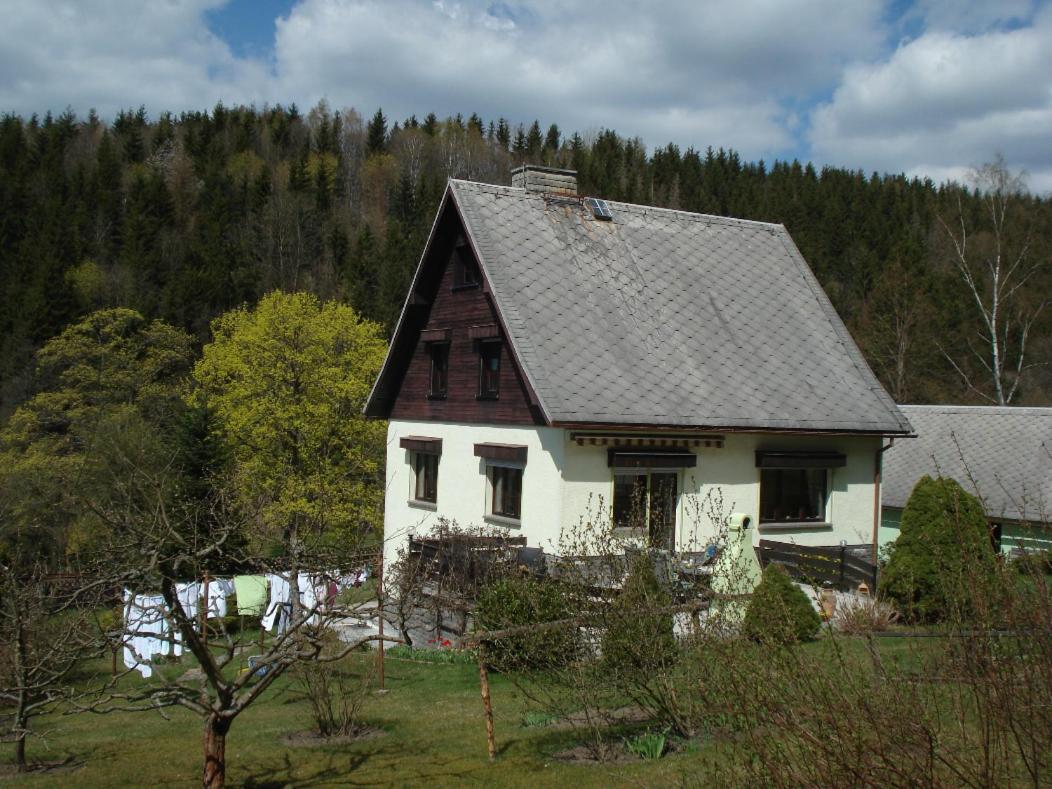 Ferienwohnung Erzgebirgsdomizil am Schwartenberg Neuhausen  Exterior foto